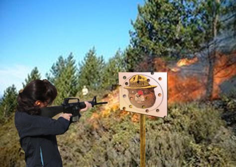 Image of Utah wildfire caused by stray bullet gunfire.