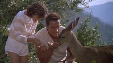 Image of daddy-daughter quality time in Commando.